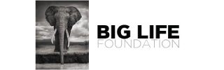 big-life-foundation